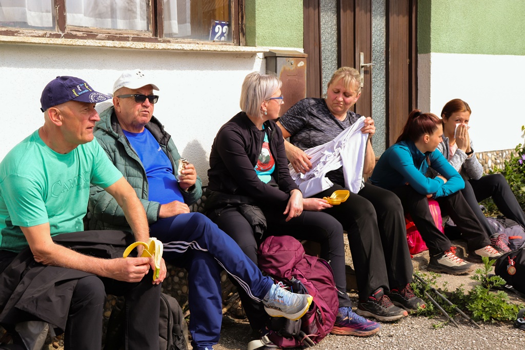 gvt camino (17) gvt camino (17)