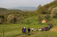 gvt camino (19) gvt camino (19)