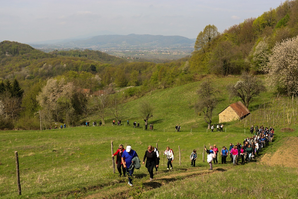 gvt camino (19) gvt camino (19)