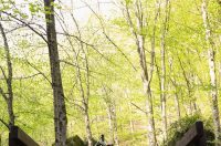 gvt camino (2) gvt camino (2)