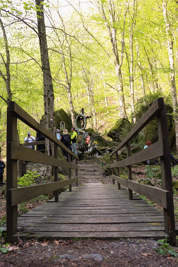 gvt camino (2) gvt camino (2)