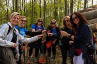 gvt camino (20) gvt camino (20)