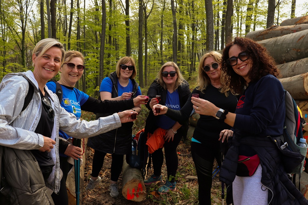 gvt camino (20) gvt camino (20)