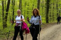 gvt camino (21) gvt camino (21)