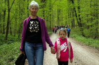 gvt camino (22) gvt camino (22)