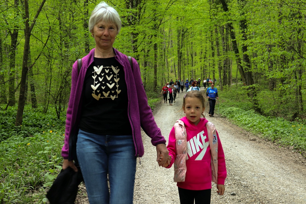 gvt camino (22) gvt camino (22)