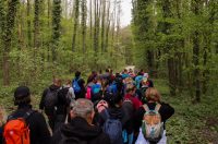 gvt camino (23) gvt camino (23)