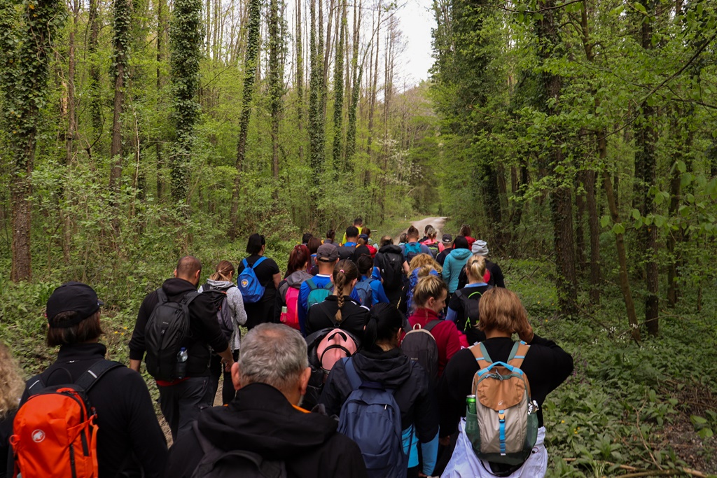 gvt camino (23) gvt camino (23)