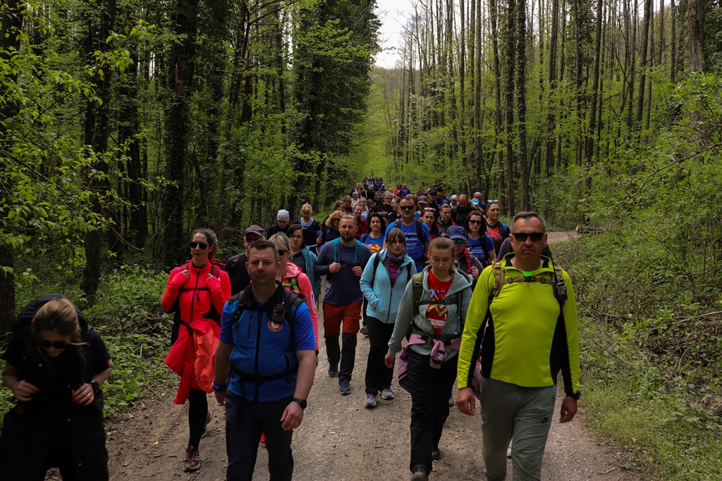 gvt camino (24) gvt camino (24)