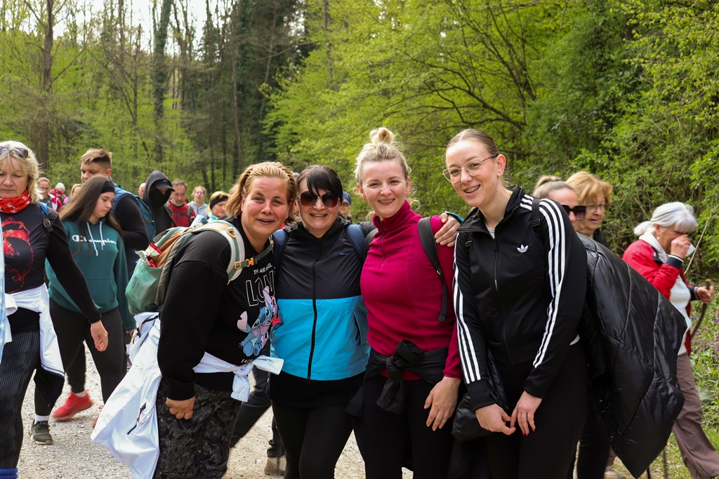 gvt camino (25) gvt camino (25)