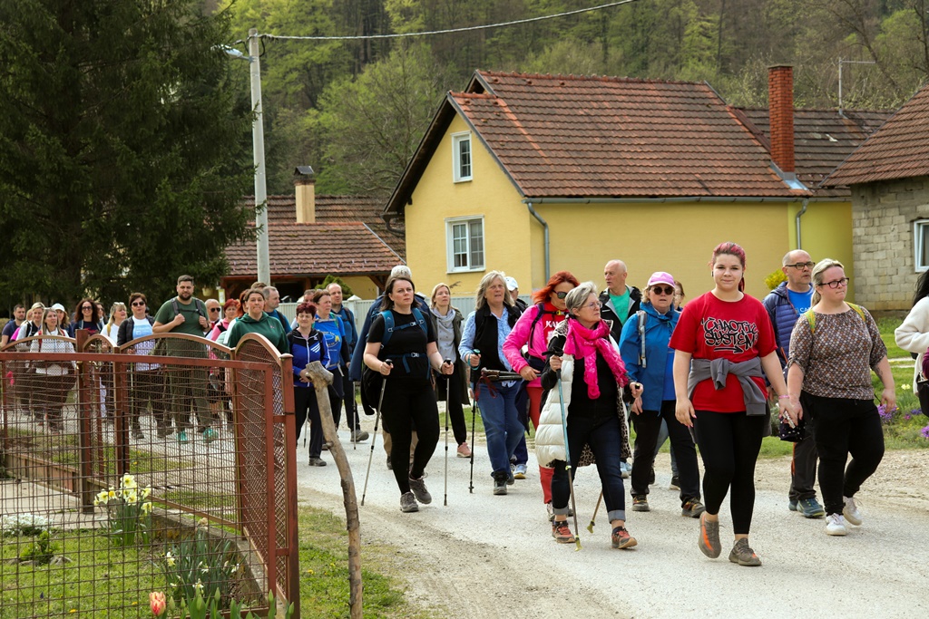 gvt camino (26) gvt camino (26)