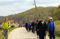 gvt camino (27) gvt camino (27)