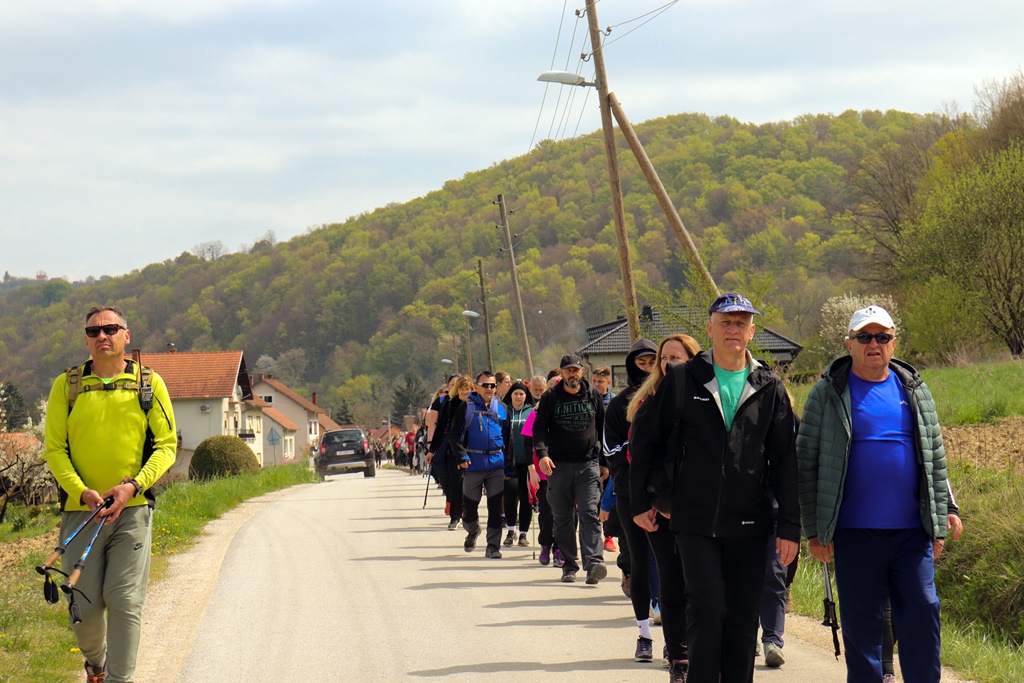 gvt camino (27) gvt camino (27)