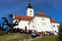 gvt camino (28) gvt camino (28)