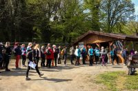 gvt camino (29) gvt camino (29)