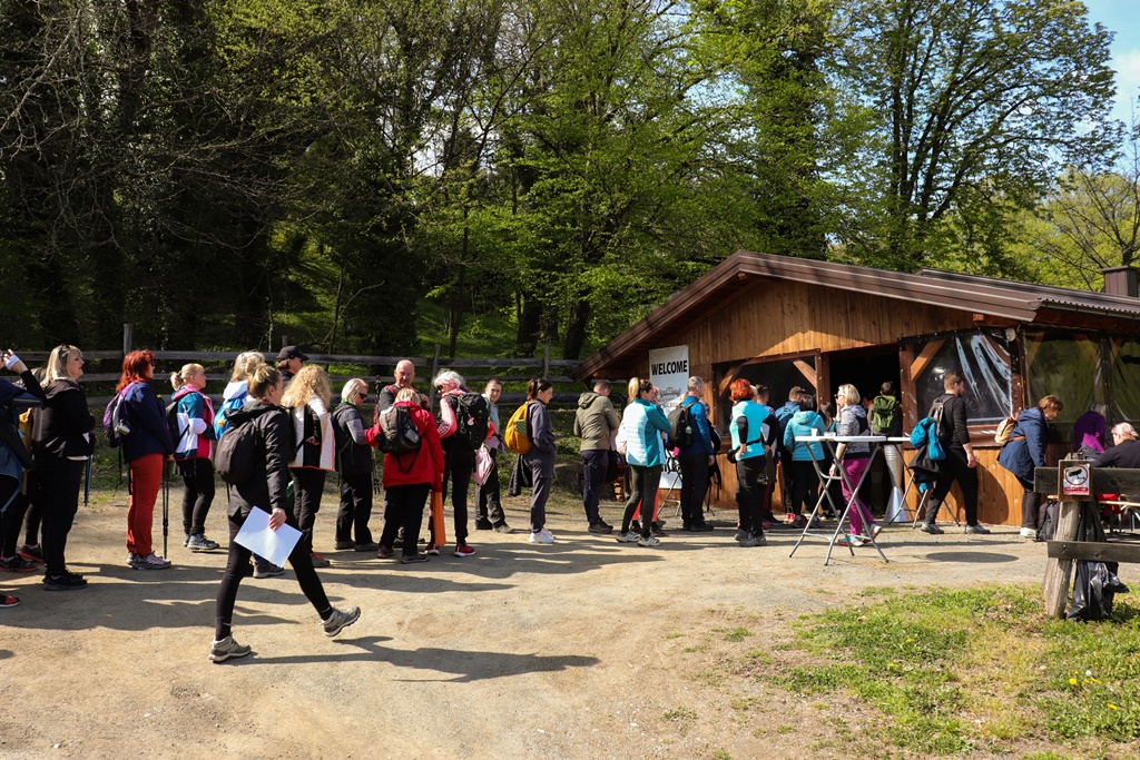 gvt camino (29) gvt camino (29)