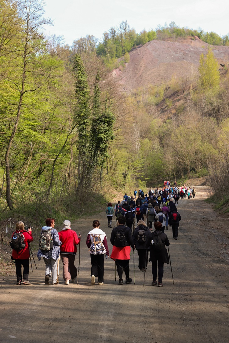 gvt camino (3) gvt camino (3)