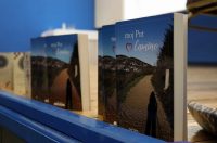 gvt camino (30) gvt camino (30)