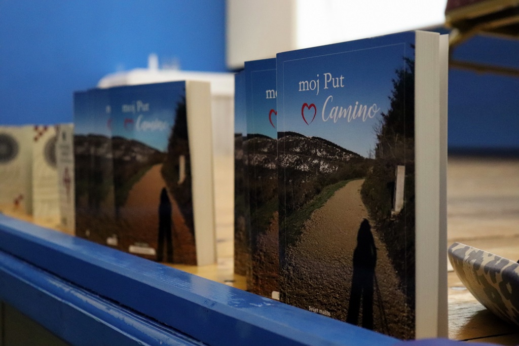 gvt camino (30) gvt camino (30)