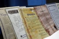 gvt camino (31) gvt camino (31)