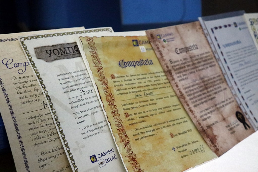 gvt camino (31) gvt camino (31)