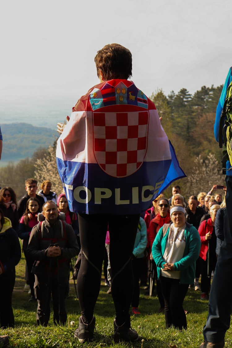 gvt camino (33) gvt camino (33)