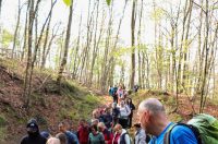 gvt camino (34) gvt camino (34)