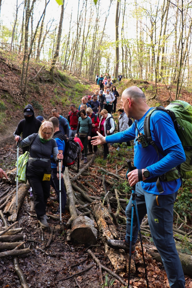 gvt camino (34) gvt camino (34)