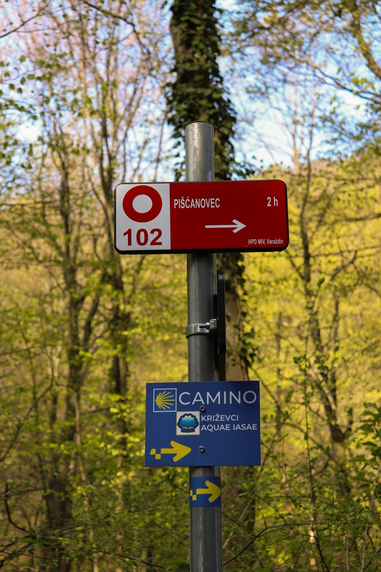 gvt camino (35) gvt camino (35)