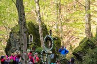 gvt camino (36) gvt camino (36)