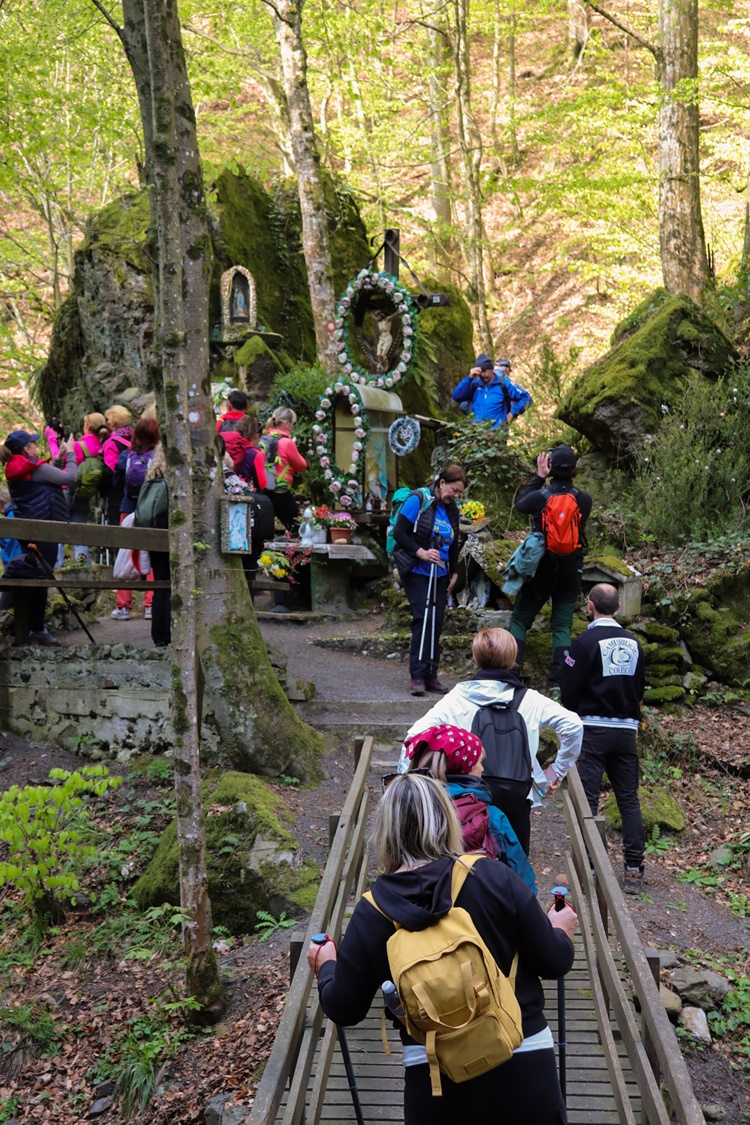 gvt camino (36) gvt camino (36)