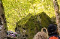 gvt camino (37) gvt camino (37)