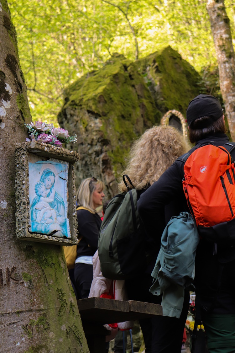 gvt camino (37) gvt camino (37)