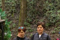 gvt camino (38) gvt camino (38)