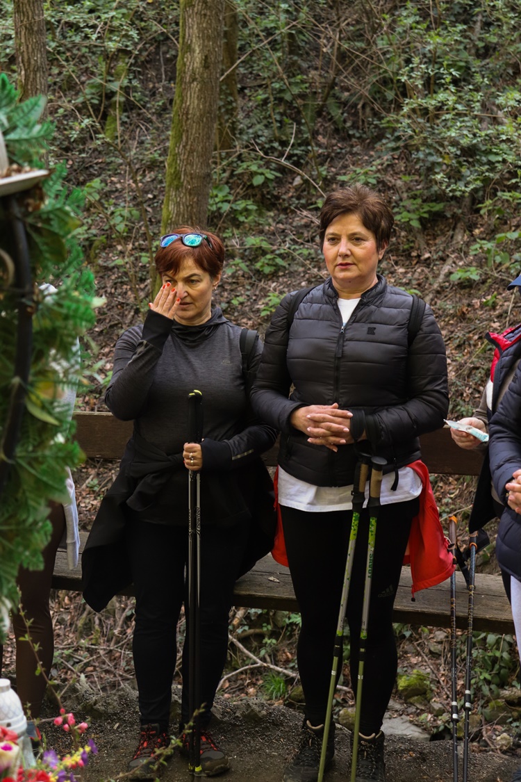 gvt camino (38) gvt camino (38)