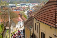 gvt camino (4) gvt camino (4)