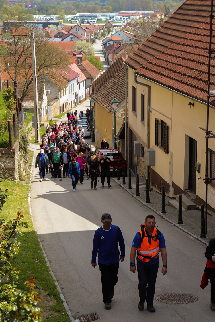 gvt camino (4) gvt camino (4)