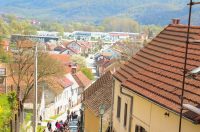 gvt camino (5) gvt camino (5)