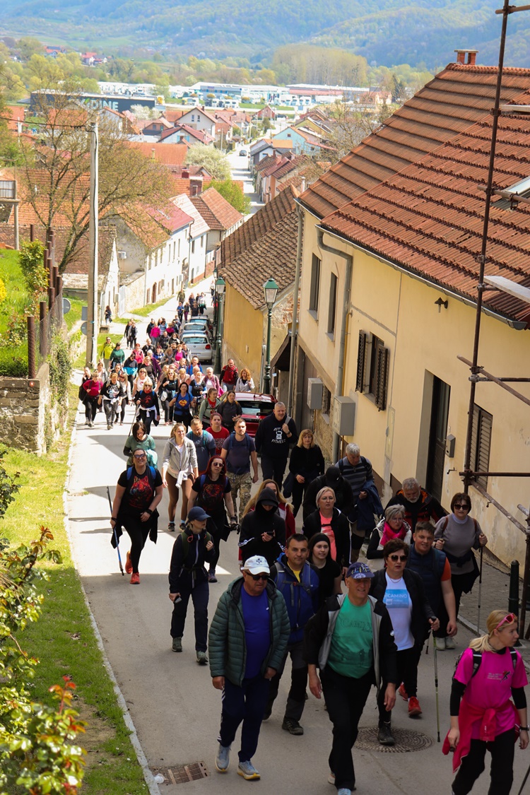 gvt camino (5) gvt camino (5)