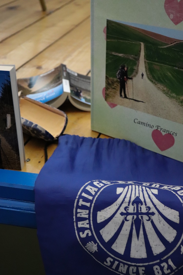 gvt camino (6) gvt camino (6)