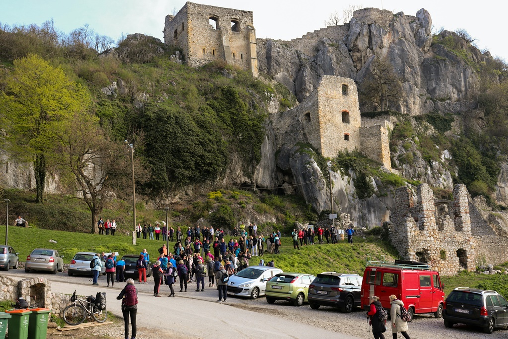 gvt camino (7) gvt camino (7)