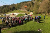 gvt camino (9) gvt camino (9)