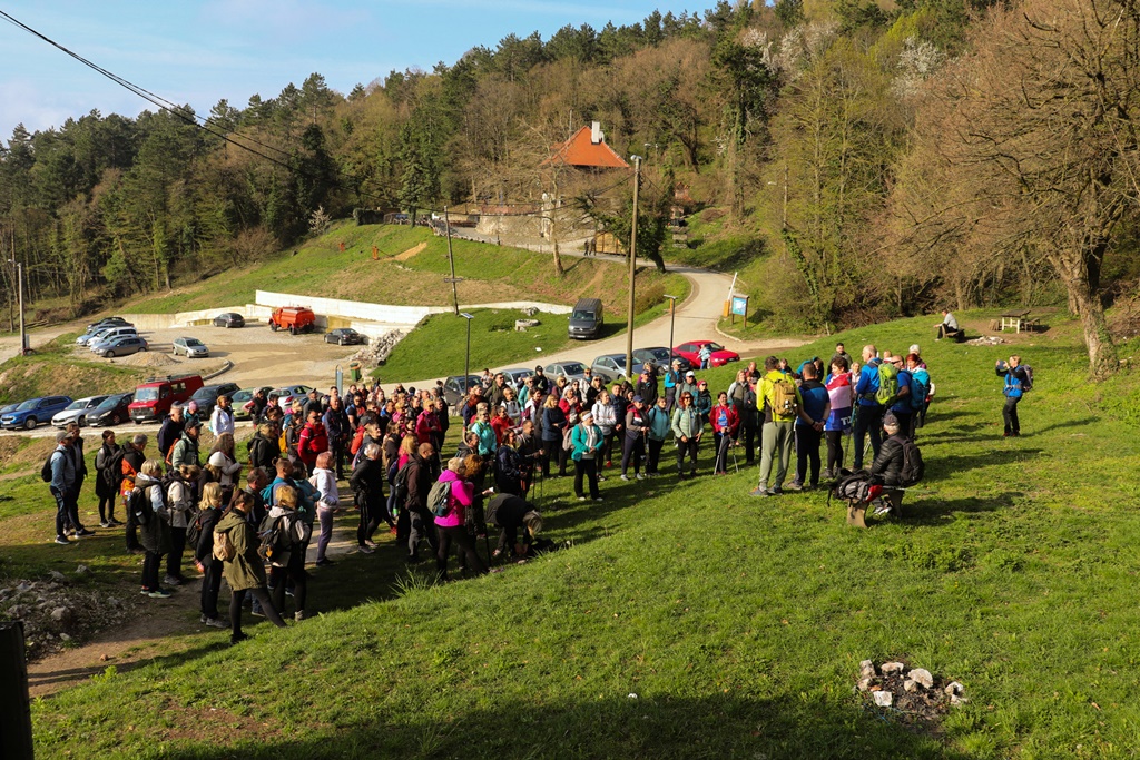 gvt camino (9) gvt camino (9)