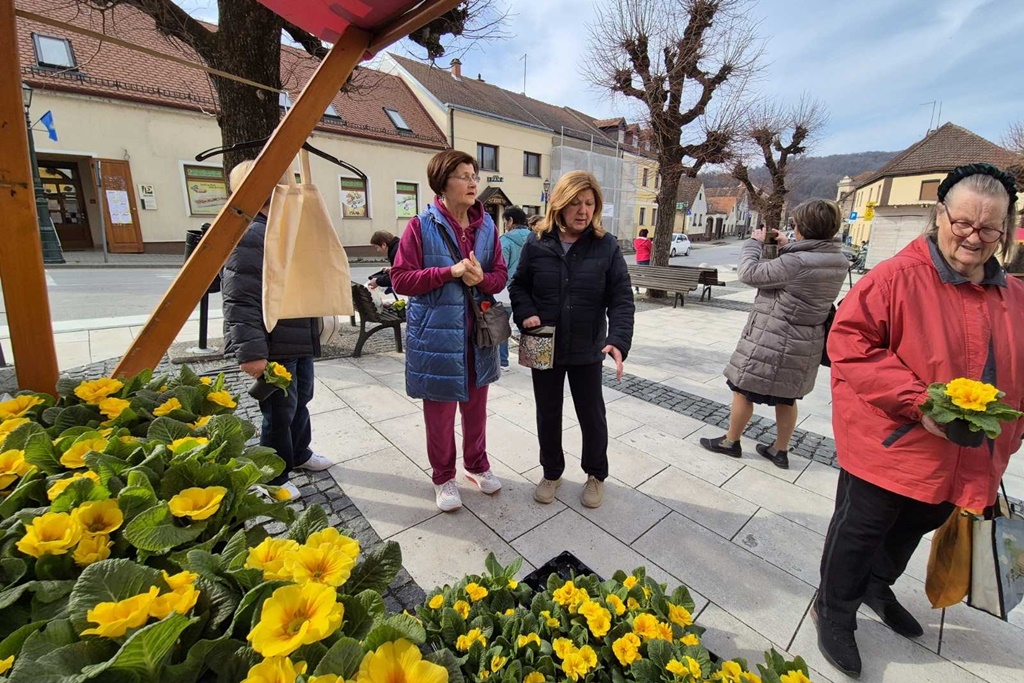 gvt dan zena (4) gvt dan zena (4)