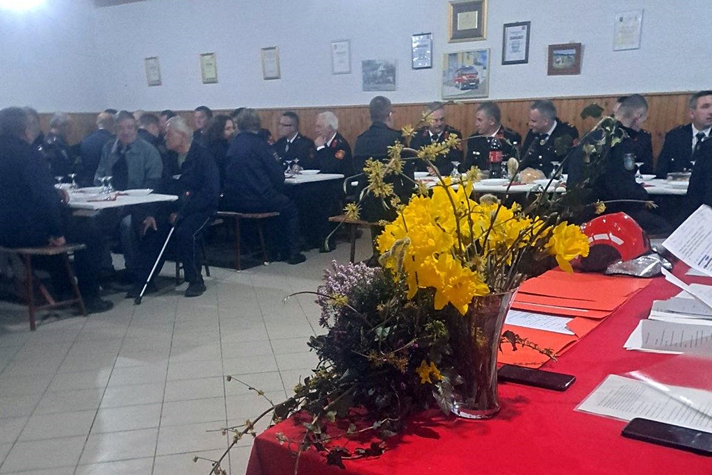 gvt dvd grescevina (17)