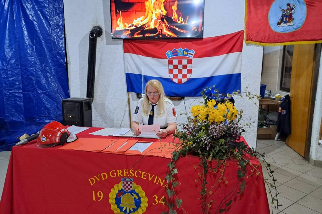 gvt dvd grescevina (7)