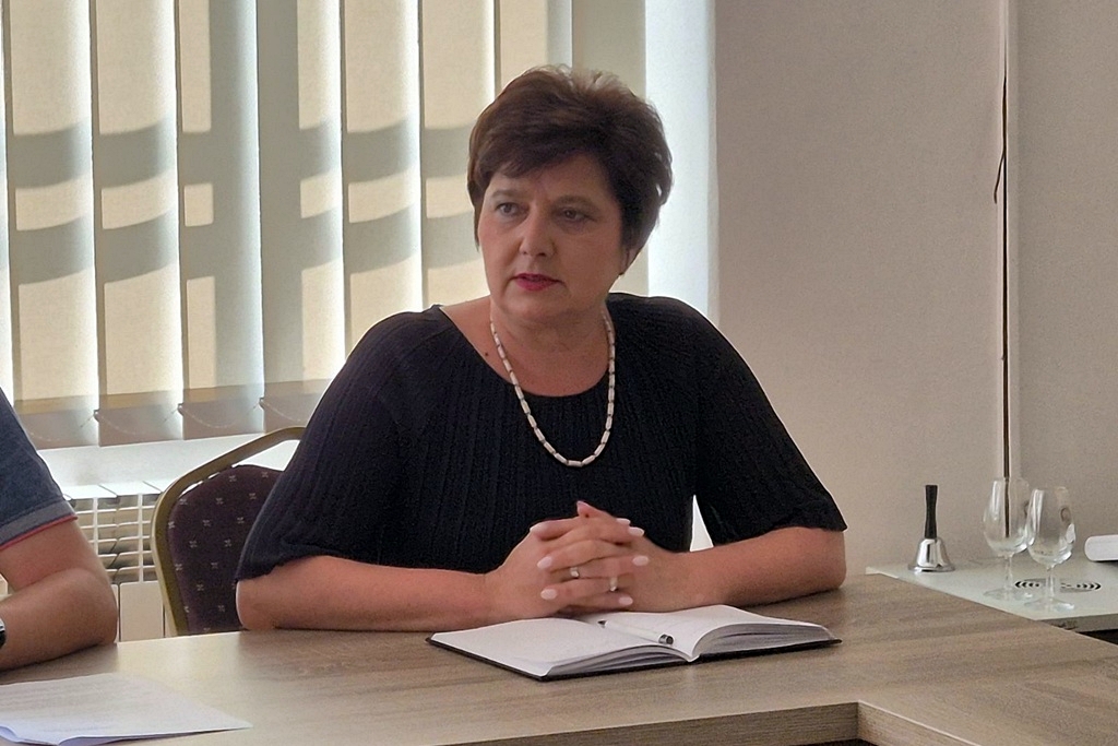 gvt-konstituirajuca (13) gvt-konstituirajuca (13)