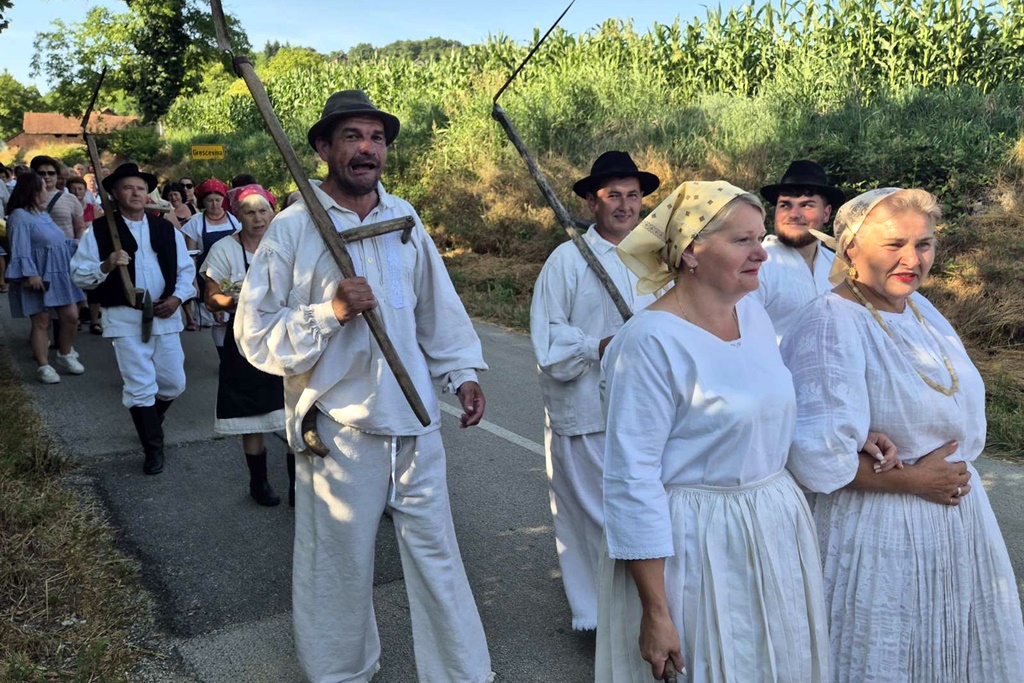 gvt rucna zetva razi (11)