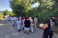 gvt rucna zetva razi (12)