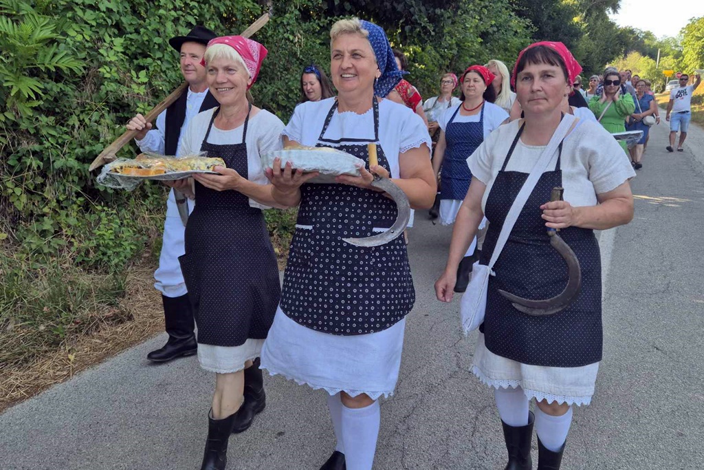 gvt rucna zetva razi (14)